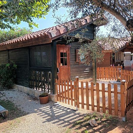 הוילה Benicolet Entre Viejos Olivos מראה חיצוני תמונה