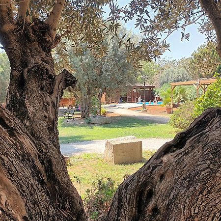 הוילה Benicolet Entre Viejos Olivos מראה חיצוני תמונה