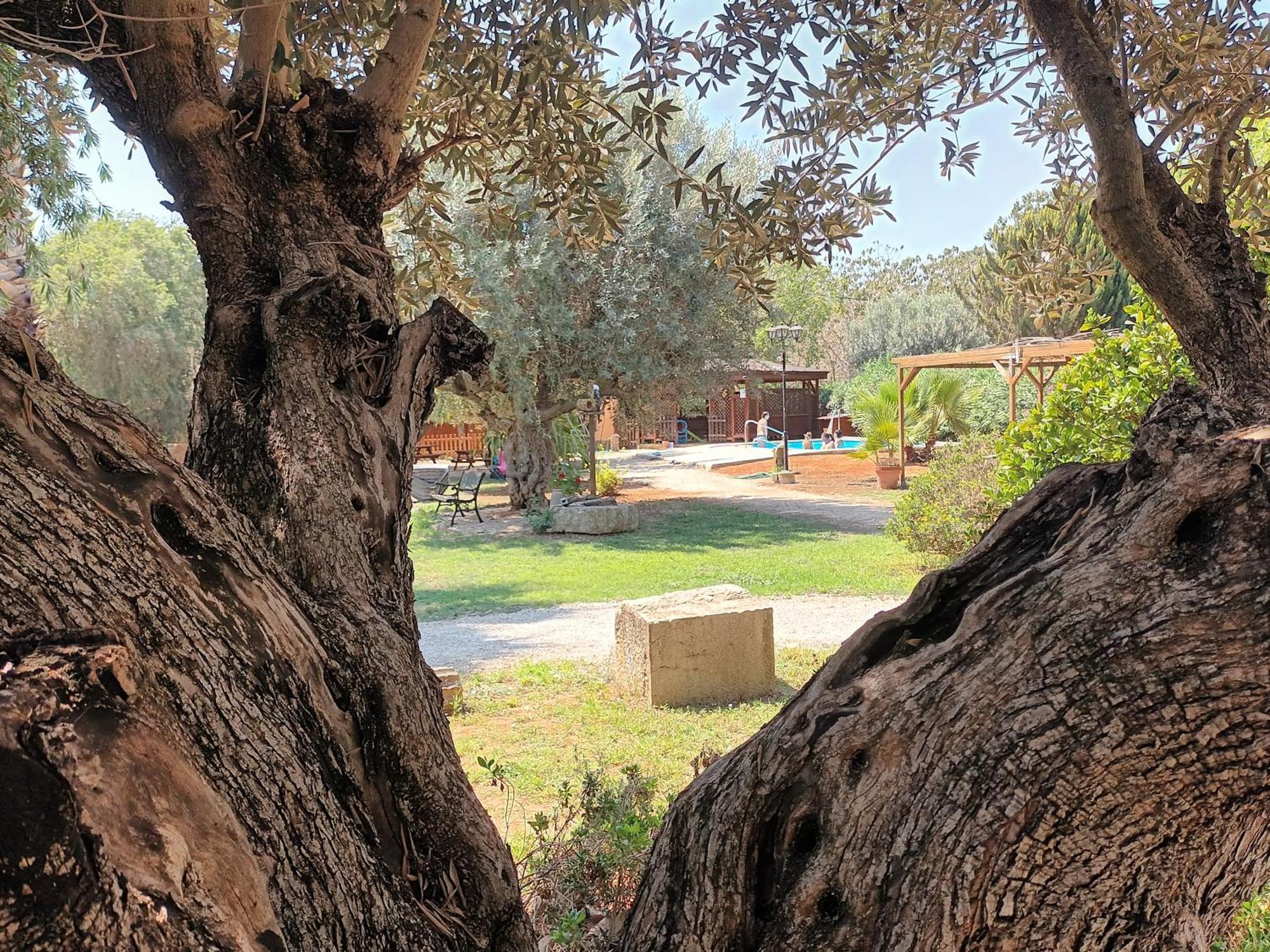 הוילה Benicolet Entre Viejos Olivos מראה חיצוני תמונה