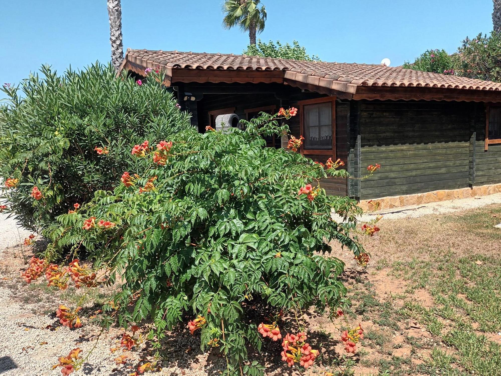 הוילה Benicolet Entre Viejos Olivos מראה חיצוני תמונה
