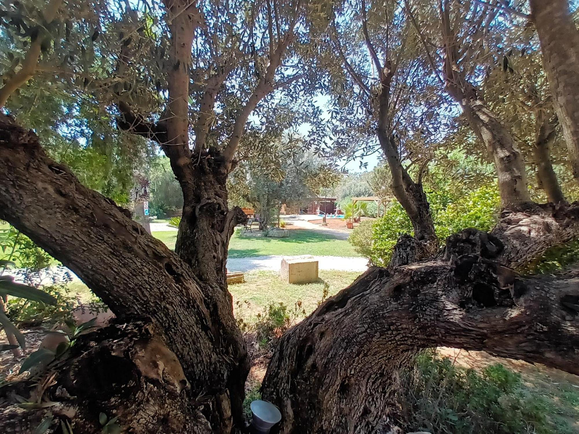 הוילה Benicolet Entre Viejos Olivos מראה חיצוני תמונה