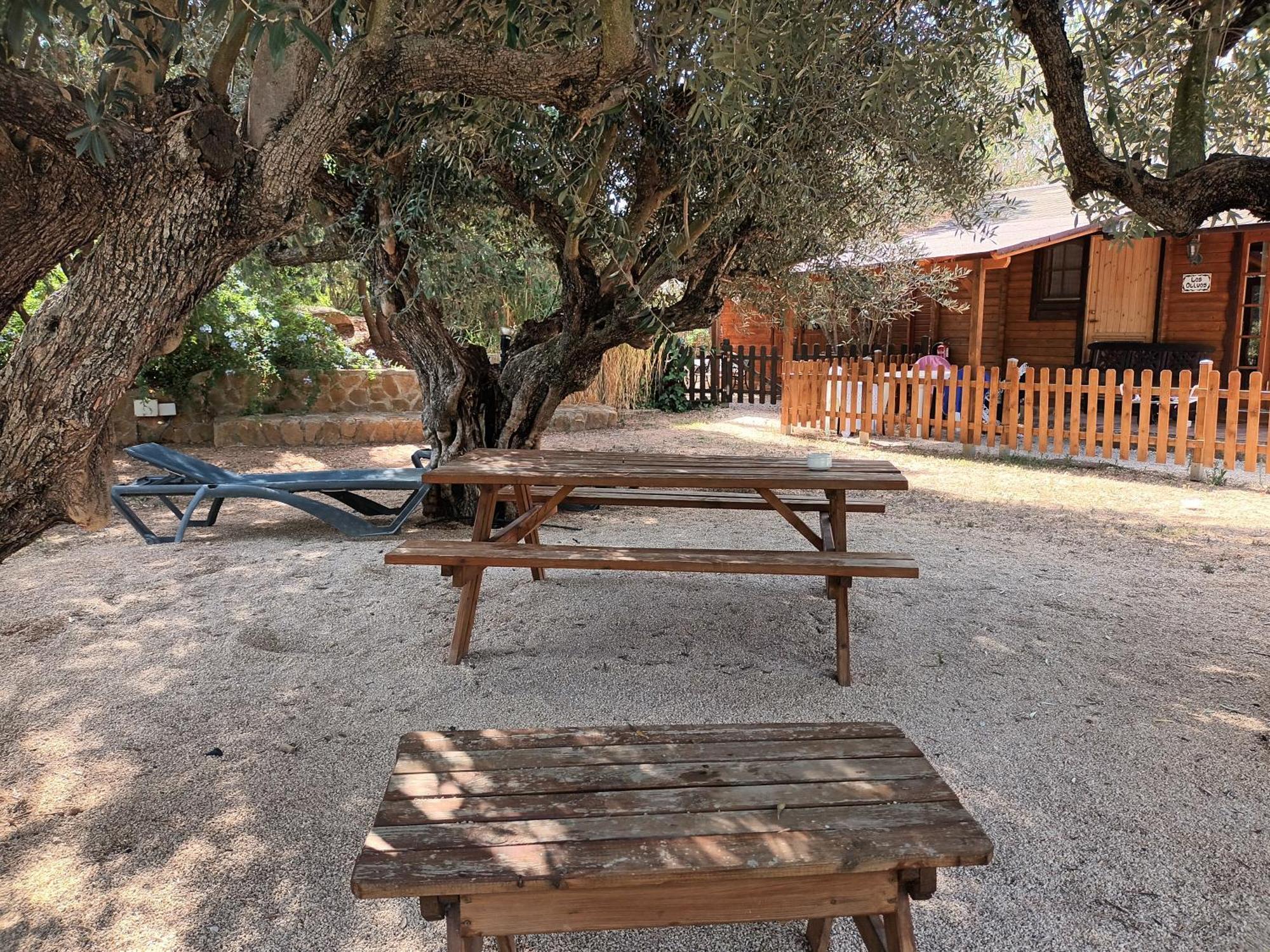 הוילה Benicolet Entre Viejos Olivos מראה חיצוני תמונה