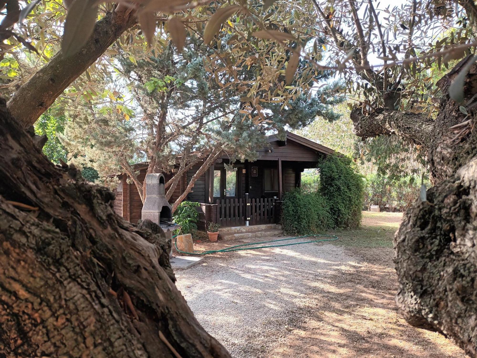 הוילה Benicolet Entre Viejos Olivos מראה חיצוני תמונה