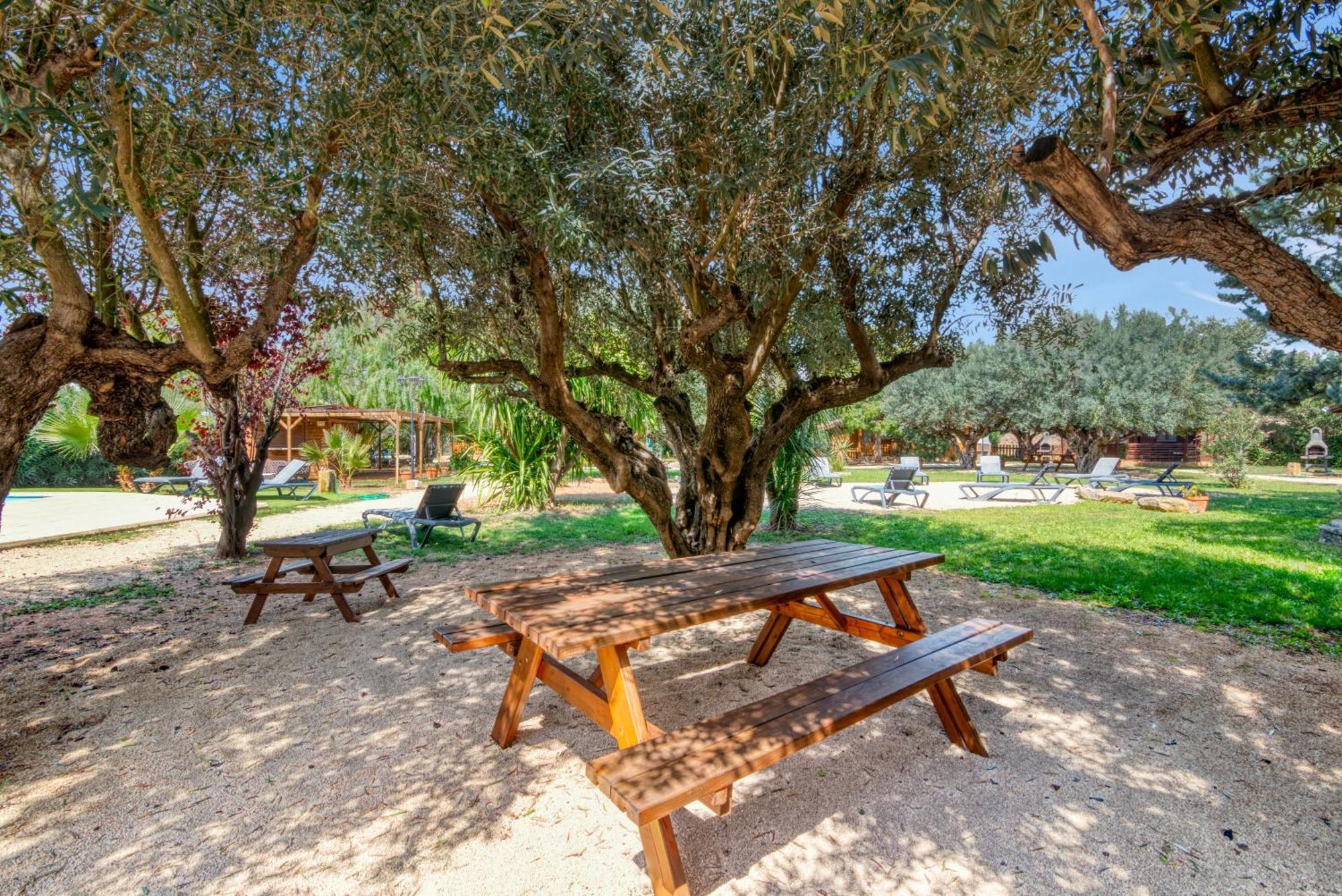 הוילה Benicolet Entre Viejos Olivos מראה חיצוני תמונה